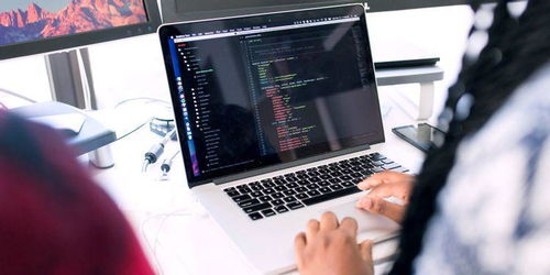 僵尸網(wǎng)絡(luò) 計(jì)算機(jī)世界的隱形軍團(tuán)